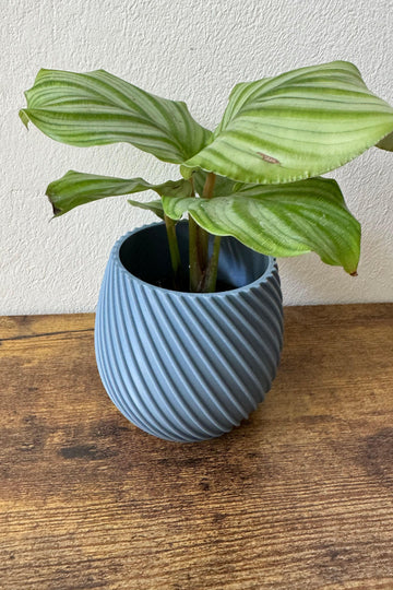 Bloempot spiraalvormig