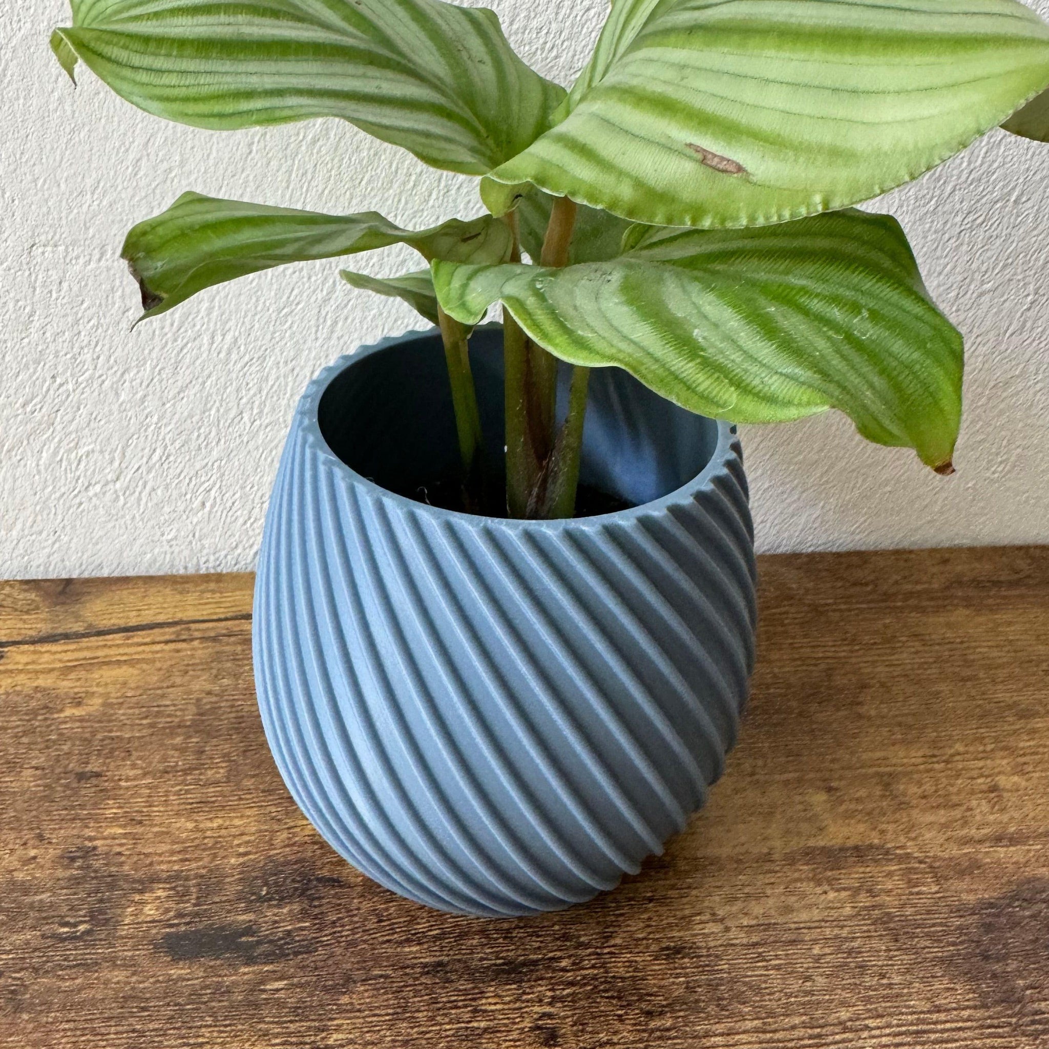 Spiral flower pot